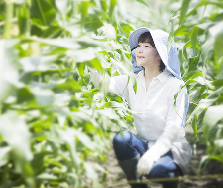 特集生産者さん